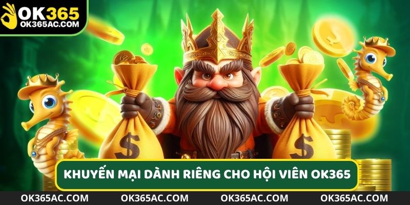 Ưu đãi dành riêng cho hội viên OK365